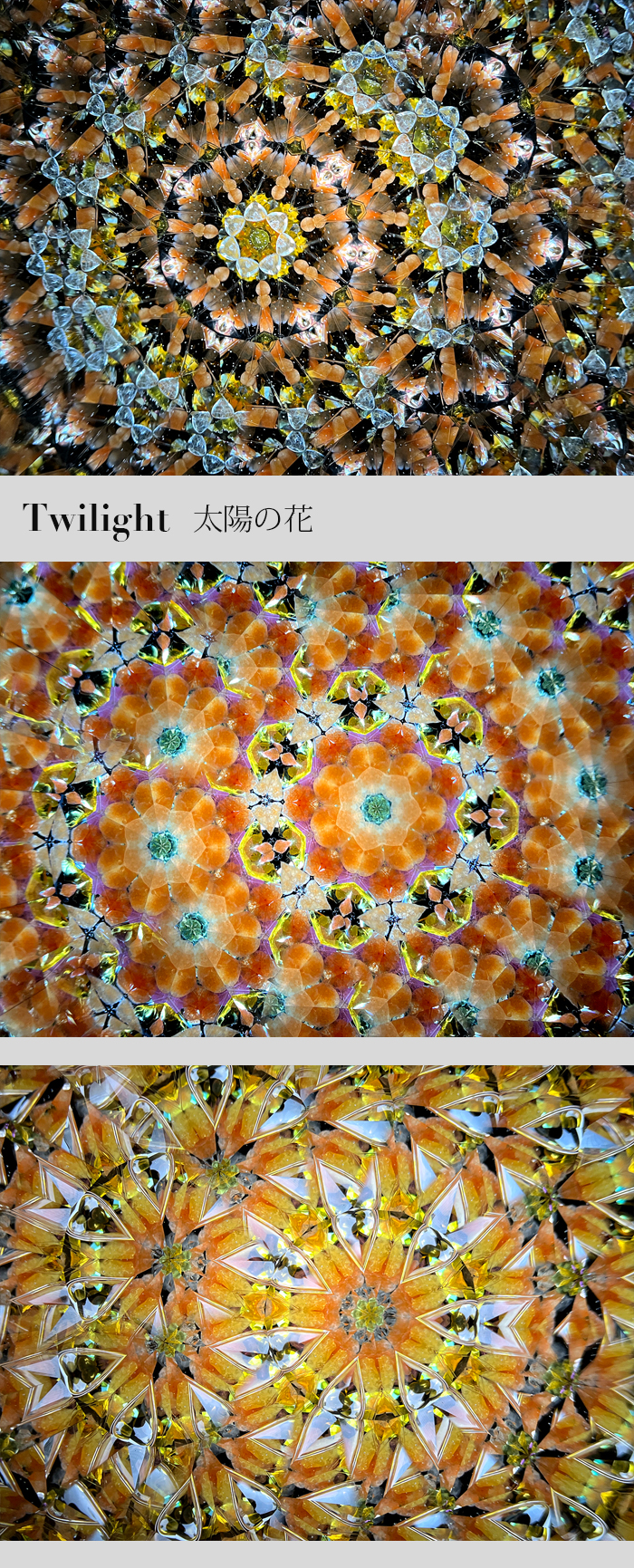 Twilight太陽の花