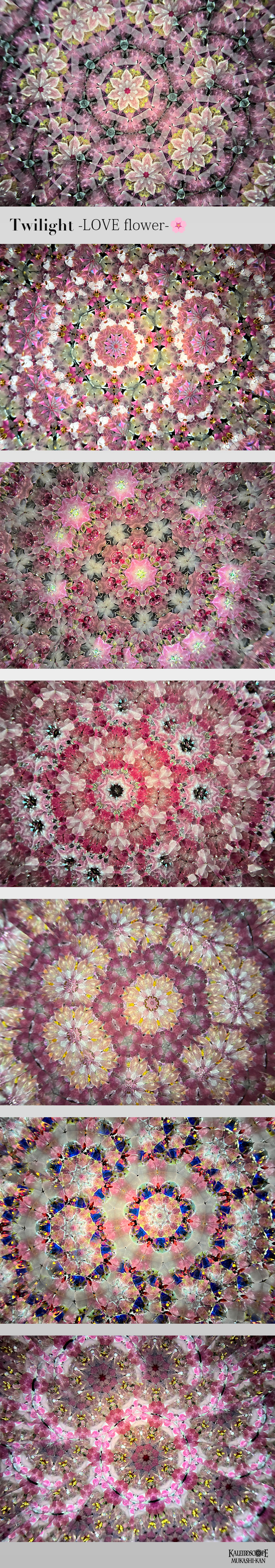 Twilight-LOVE flower-