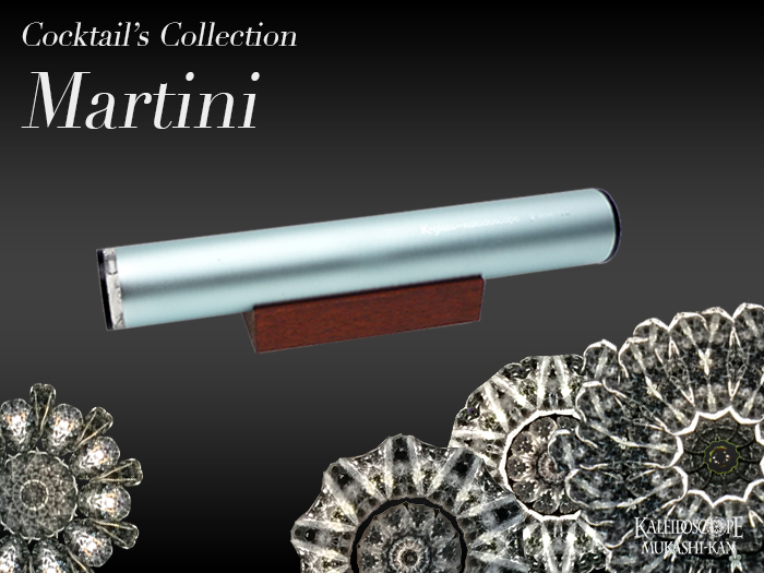 Cocktail's Collection MARTINI