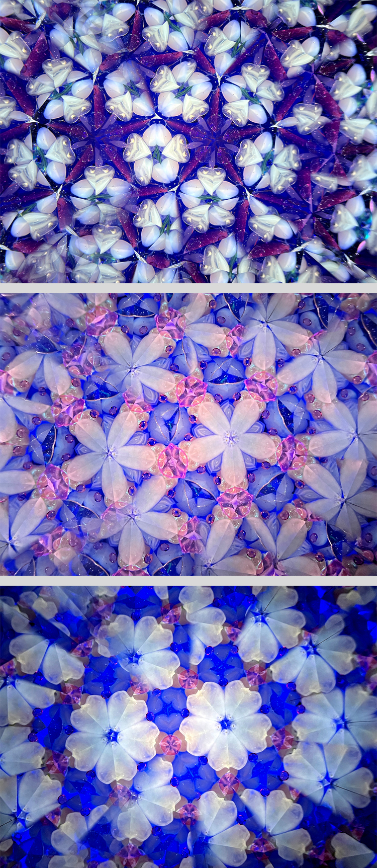 宵の桜