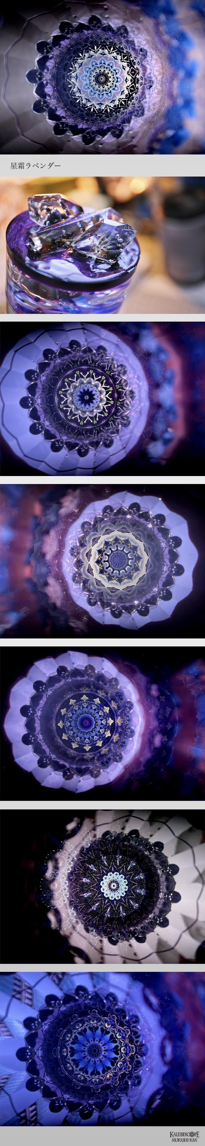 星霜ラベンダー