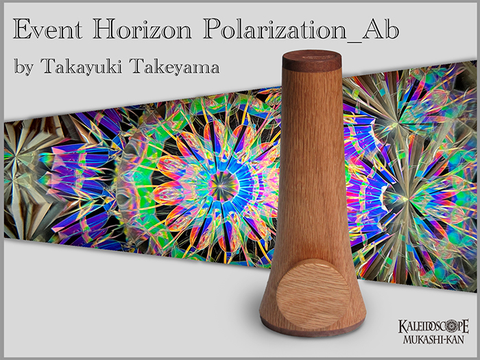 Event Horizon Polarization