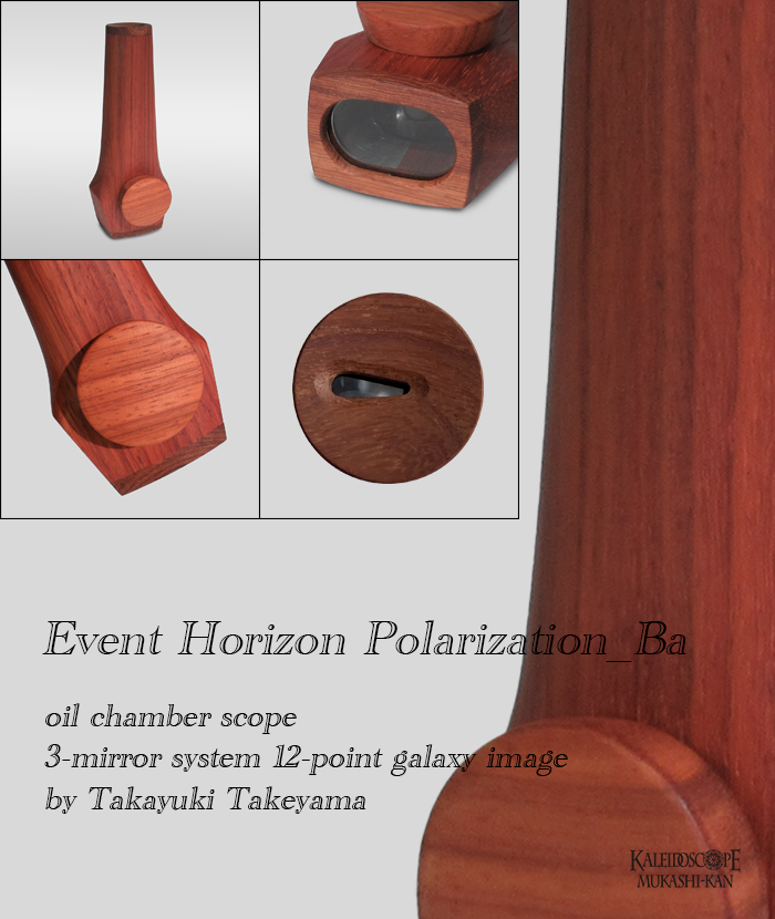Event Horizon Polarization