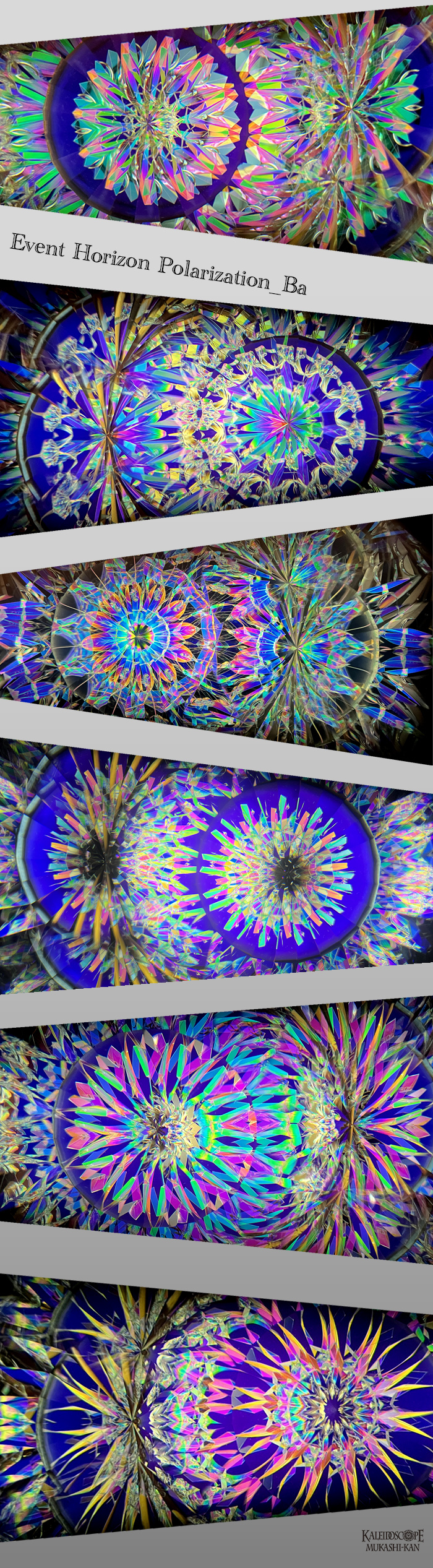 Event Horizon Polarization