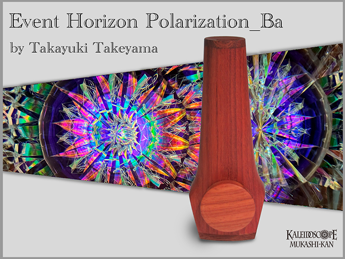 Event Horizon Polarization