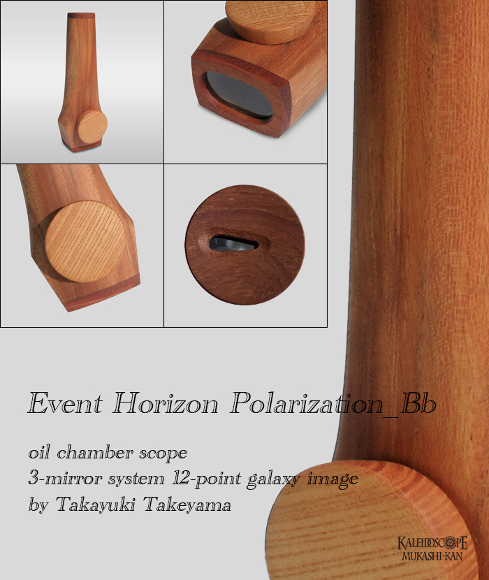 Event Horizon Polarization