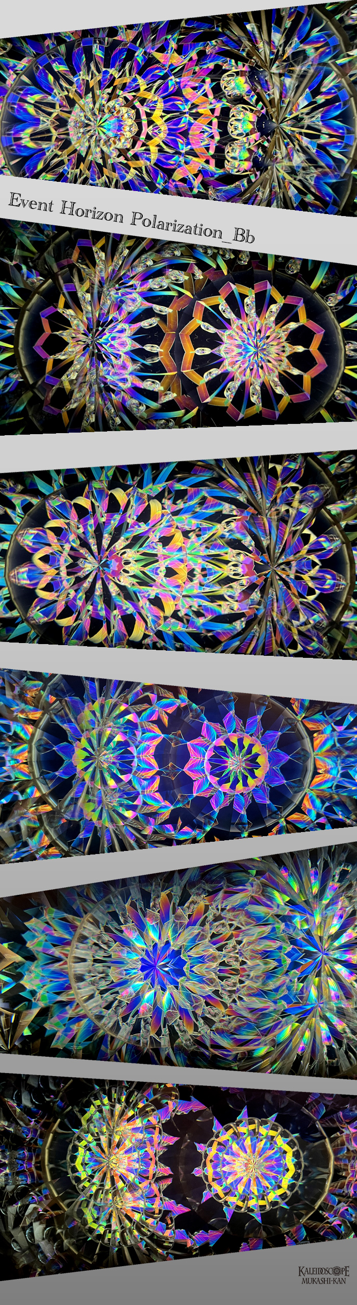 Event Horizon Polarization