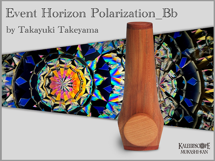 Event Horizon Polarization